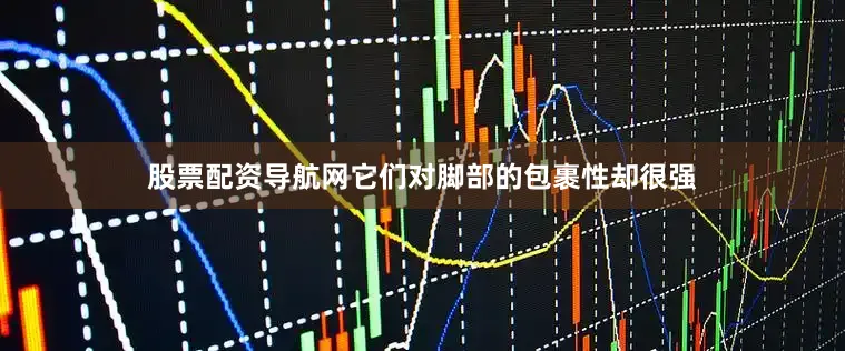 股票配资导航网它们对脚部的包裹性却很强