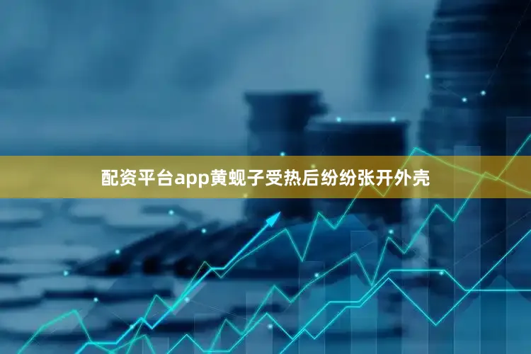 配资平台app黄蚬子受热后纷纷张开外壳