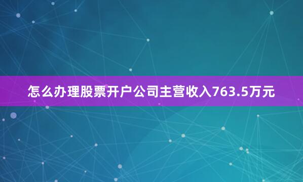怎么办理股票开户公司主营收入763.5万元