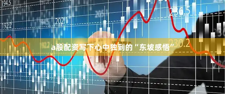 a股配资写下心中独到的“东坡感悟”