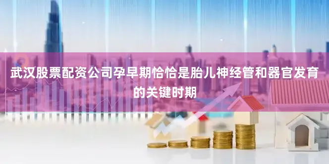 武汉股票配资公司孕早期恰恰是胎儿神经管和器官发育的关键时期